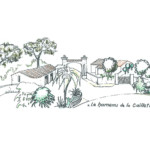 Conseil et Expertise