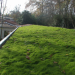 Complexes végétalisés