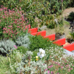 Complexes végétalisés