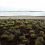 Complexes végétalisés