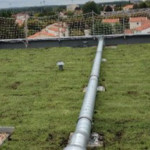 Complexes végétalisés