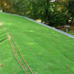 Complexes végétalisés