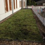 Complexes végétalisés