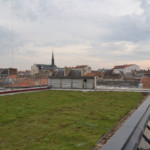 Complexes végétalisés