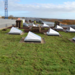 Complexes végétalisés