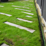 Complexes végétalisés