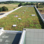 Complexes végétalisés