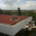 Complexes végétalisés