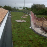 Complexes végétalisés