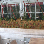 Décor et aménagements paysagers