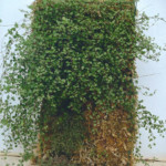 Décor et aménagements paysagers