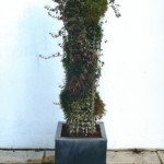 Décor et aménagements paysagers