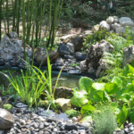 Décor et aménagements paysagers