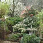 Décor et aménagements paysagers