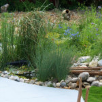 Décor et aménagements paysagers