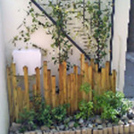 Végétalisation murale