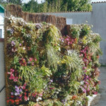 Végétalisation murale