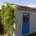 Végétalisation murale