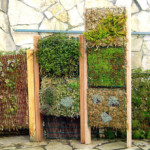 Végétalisation murale